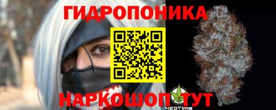 jwh Ставрополь