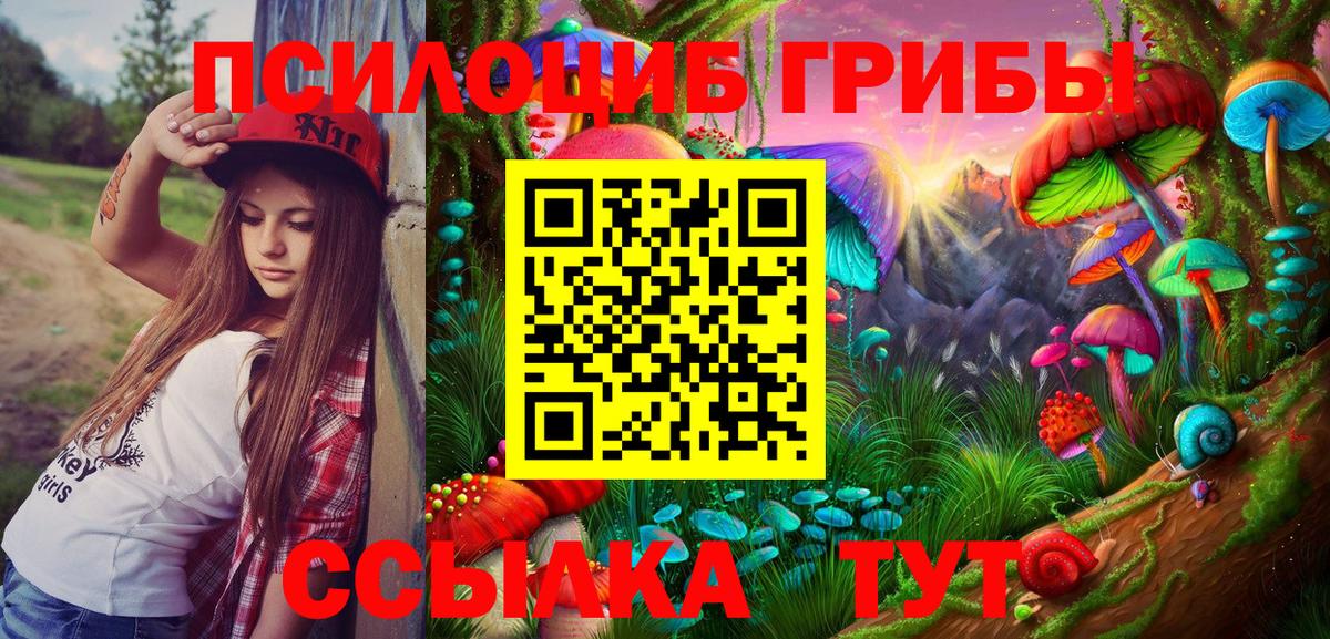 Галлюциногенные грибы Psilocybe  Галлюциногенные грибы Psilocybe  Вход с VPN  Мценск 